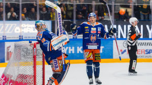 Dominik Hrachovina slog slutspelsrekord med sin långa svit utan insläppt mål. Dominik Hrachovina.