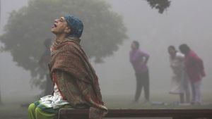En kvinna utövar yoga i ett luftförorenad New Delhi, Indien. En kvinna utövar yoga i ett luftförorenad New Delhi.