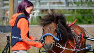 Adele tillsammans med sin ponny Fenja Hakalan Estella Adele tillsammans med sin ponny