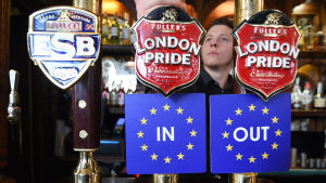 In eller ut? Den frågan har britterna inte riktigt kunnat svara på tre år efter folkomröstningen om EU-medlemskap. Ölkranar på Londonpub med brexitalternativen i folkomröstningen 2016.