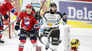 Hannes Björninen jublar i kvartsfinalserien. Hannes Björninen firar ett mål borta mot HIFK.