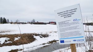 Hardombäckens muddring fick EU-stöd. Det kommer inte muddringen av Lovisaån att få. Muddrade Hardombäcken i Haddom 08.03.2019