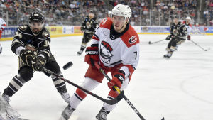Aleksi Saarela spelar i AHL:s bästa lag. Aleksi Saarela i Charlotte Checkers.