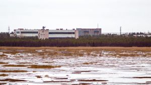 Byggnader på en militärbas i Nenoks. Bilden är tagen den 9 november 2011. Gamla byggnader på en militärbas i Byn Nenoks. I förgrunden syns ett vattnigt kärr. Det är mulet.