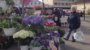 Också i dag har torget stor betydelse för invånarna i Dalsbruk och sommartid är kommersen livlig. Torget är öppet på onsdagar och lördagar. Torgdag i Dalsbruk