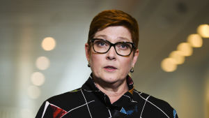 Australiens utrikesminister Marise Payne anklagar Qatar för kränkande och allvarligt störande beteende. Australiens utrikesminister Marise Payne anklagar Qatar för kränkande och allvarligt störande beteende.