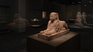 Sfinxen är en mytologisk varelse med ett lejons kropp och ett människohuvud. En sfinx på Amos Rex utställning Egyptens prakt.