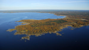 Platsen för det planerade kärnkraftverket i Pyhäjoki