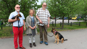 Från vänster: Göran Wennqvist med valpen Whisky, projektledare Anna Hielm-Björkman och Ilkka Hormila med hunden Flickan. Till vänster står Göran Wennqvist med sin hundvalp i famnen. I mitten står Anna Hielm-Björkman som är docent i veterinärmedicin och till höger Ilkka Hormila. Brevid Ilkka sitter hans hund.