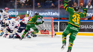Vuojärvi: Ilves ett utropstecken. Ilves gör mål mot HIFK.