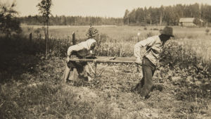 Käsisahralla kynnetään Porvoon Pitäjän Eriksdalissa 1917. Kuva: Gösta Grotenfelt. Kansatieteen kuvakokoelma, Museovirasto. (KK1178:49)