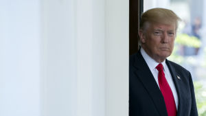 Miljöfrågor stod inte högt i kurs under Trumps valkampanj. President Donald Trump i Vita huset där han den här veckan har överlagt med sina medarbetare om hur han skall förhålla sig till klimatavtalet