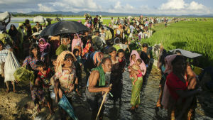Rohingyerna tvingas fly från sina hem i det buddhistiska Myanmar där myndigheterna ofta kallar dem bengaler eller muslimer. Rohingyer på flykt från Burma.
