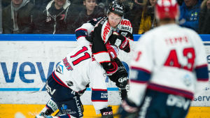 JYP vill se öl på läktarna så snart som möjligt. Jyps Jerry Turkulainen brottas med HIFK:s Saku Salmela.