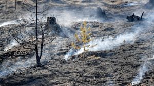 Värmen kan stiga till flera hundra grader i brandområdet. Skogsbrand i Sverige