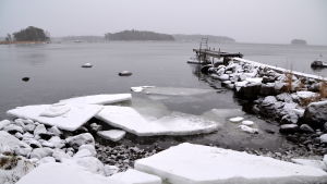Det tar längre tid för fjärdar att täckas med is, i synnerhet om det är omväxlande väder. Strand i snöyra.