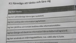 Helsingfors stads elevbedömningsblankett. Elevbedömningsblanketten Helsingfors stad använder.