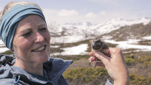 Norjalainen dokumenttisarja kertoo mielenkiintoisista luonnontieteellisistä ilmiöistä.