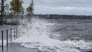 Ännu på torsdagskvällen var varningar för hård vind i kraft i östra Finland, men under natten hade Meteorologiska institutets varningskarta slutat lysa rött. Aila-myrsky 2020.