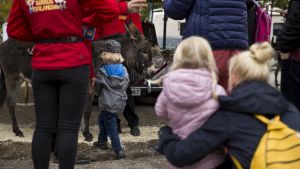 Ihmistaiteilijoiden lisäksi kiertueen mukana kulkevat aasit, hevoset ja näytöksissä käytettävät linnut. Sirkus Finlandian väliajalla pihalla on aasiratsastusta. Jonossa lapsi ja äiti katsovat, kun on seuraavan lapsen vuoro ja lapsi lähestyy aasia.