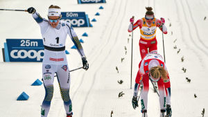 Stina Nilsson spurtslog Therese Johaug i lördagens masstart i Quebec.