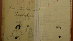 100 år gammal dagbok Sara Lindströms politiska dagbok under första världskriget.