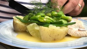 En lunch bestående av rökt sik, potatis och olika bönor. Råvarorna är från olika platser i Ekenäs skärgård Kokt potatis med rökt sik och blandade bönor.