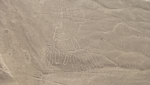 Flygbild på en figur i Nascalinjerna i Peru. En flygbild på en inristning i ett berg.