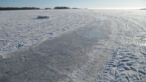 Använd isbanan på eget ansvar. Banan är plogad men alla använder den på eget ansvar poängterar Tarmo Sander. Havsis som är plogad för skridskoåkning.