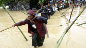 Burmas armé har lagt ut minor vid gränsen till Bangladesh, enligt FN Över 430 000 rohingyer har flytt till grannlandet Bangladesh sedan den 25 augusti