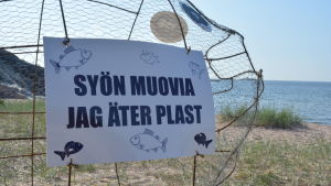 Beställningen var att fiskens mun är så lågt nere att också ett barn kan mata fisken. Stålfisk på Tulluddsstranden