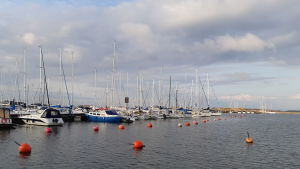 HSF:s gästhamn har haft runt 6 500 övernattningar i juni och juli. Segelbåtar i gästhamnen i östra hamnen i Hnagö.