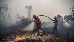 Skogsbränderna har orsakat stor skada. Brandhärjat område med två brandmän som håller på med släckningsarbete.