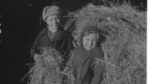 Vihtori och Maria Kirjanen från Ingermanland på gården Hännilä i Hiitola under fortsättningskriget. Vihtori och Maria Kirjanen från Ingermanland på gården Hännilä i Hiitola under fortsättningskriget.