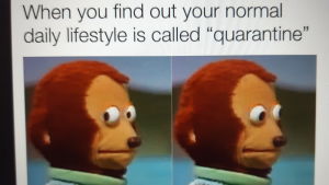 En så kallad meme av hur det känns för den introverta då man får höra att ens normala livsstil numera kallas för "karantän". skärmdump av meme