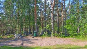 Här kommer det att finnas en balansbana, gungor och en moped för barnen. En tallskog med ett tomt område med sand framför sig.
