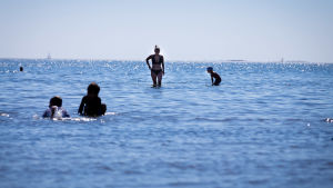Svalka dig i havet - men se upp för blågröna alger! Ihmisiä vedessä, Lauttasaaren uimaranta, Helsinki, 18.7.2018.