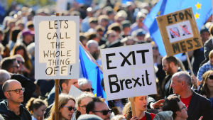 Allt fler britter vill helt blåsa av brexitloppet. Demonstration mot brexit.