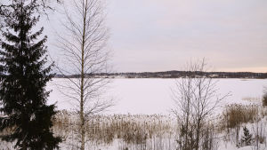 Husulabacken finns precis intill Lappträsket. Så här ser utsikten ut från bastustugans bakgård. En snötäckt sjö.
