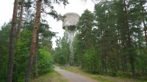 Den täta skogen på Södra åsen ska gallras för att ge ljus åt de yngre träden. Vattentorn i Lovisa