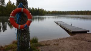 Badstranden vid Svedja träsk är den som ligger närmast Karis centrum. Svedja träsk i Karis