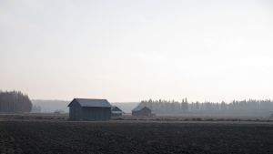 Det österbottniska landskapet är starkt närvarande i Burning Hearts musik. Österbottniskt höstlandskap.
