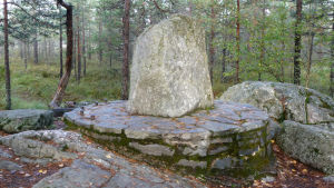 Den välkända gränsstenen Kuhankuono är ett omtyckt vandringsmål. Kurjenrahka nationalpark