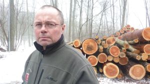 Carl-Johan Jansson ansvarar för stadens skogsbruk. Bilden är en arkivbild, den är inte från de aktuella skogsområdena. Carl-Johan Jansson
