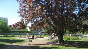I dag finns inga småbarnsgrupper i Halmstadsgården utan de har fått hyra in sig i andra lokaler. Och det blir dyrt för staden, samtidigt som man dras med kostnaderna för en nästan obrukbar byggnad. Prislappen att renovera Halmstadsgården ligger på 2,9 miljoner euro. Bland annat här på Halmstadsgården kommer förskolekuratorn att finnas till hands.