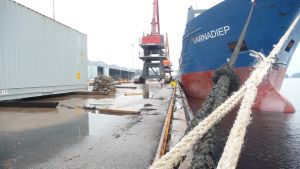 Trossarna lossas så snart det blir grönt ljus i mottagarlandet. Valkom hamn i Lovisa