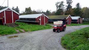 Minkfarmer i Finland har vidtagit säkerhetsåtgärder sedan sommaren 2020. Där gäller avstånd, skyddsutrustning och nolltolerans för symtom. Hittills har ingen smitta registrerats. Fodertruck på pälsfarm.