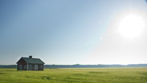 Så kallade mormorsstugor som inte ligger nära vattendrag går också åt. Du som konsument har makt att avgöra vad de finländska bönderna ska satsa på. Bild: Yle/Marcus Nordström