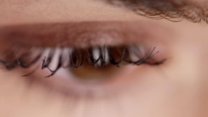 Nu gäller det att inte färga ögonfransar, uppmanar branschorganisationen. Närbild på ögonfransar med mascara