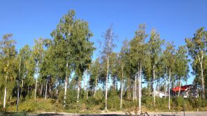 Så här såg området Rävnäs-Kursand i Österby ut hösten 2013. I dag är det betydligt fler hus på området, så här har Raseborg gett ut en hel del tomter under årens lopp. Rävnäs-Kursand i Österby i Raseborg